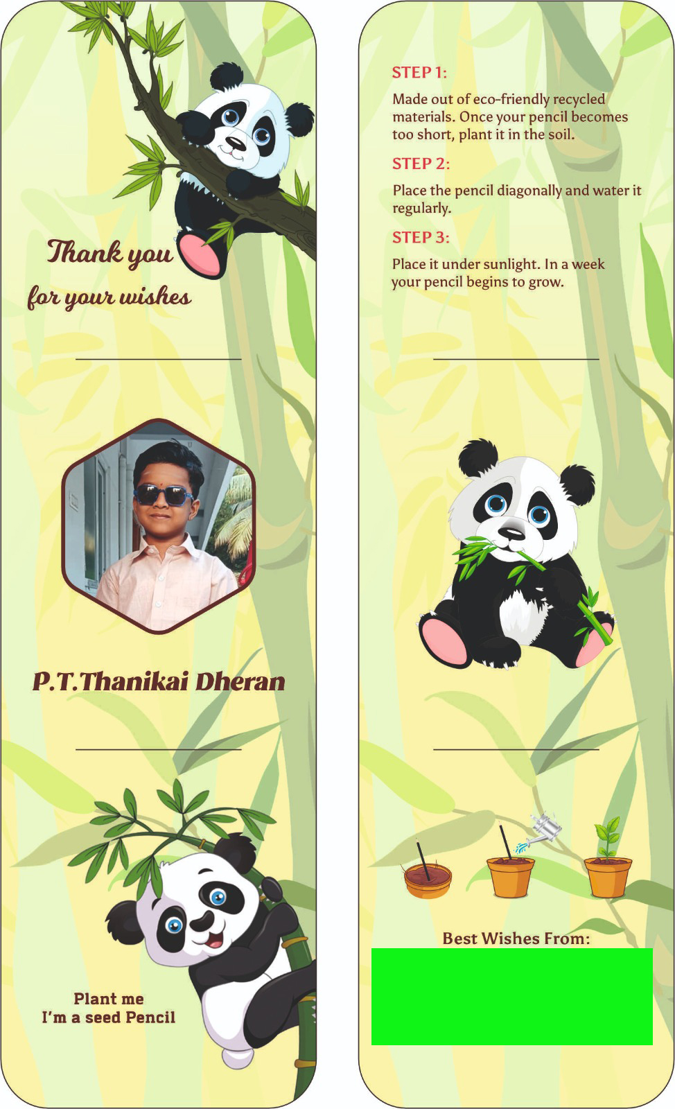 Eco-Friendly Wedding Favors: Memorable Gifts That Grow